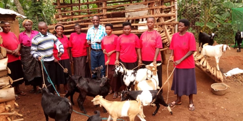 RWEMEREIRE I WOMEN GOAT REARING PROJECT UNDER UWEP